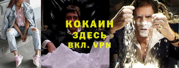шишки Аркадак
