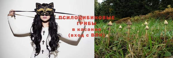 винт Арсеньев