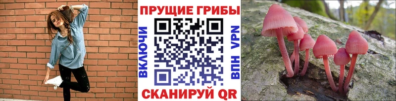 купить   Славгород  Галлюциногенные грибы мухоморы 